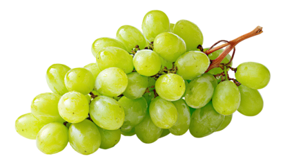 A close-up of a fresh, translucent green grape bunch isolated against a black backdrop