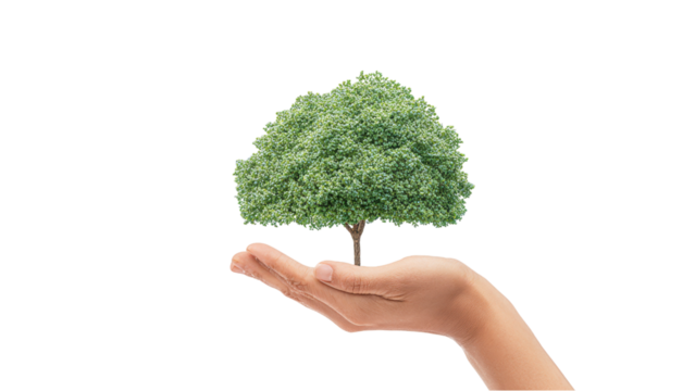 Hand Holding Green Tree Symbol - Environmental Concept