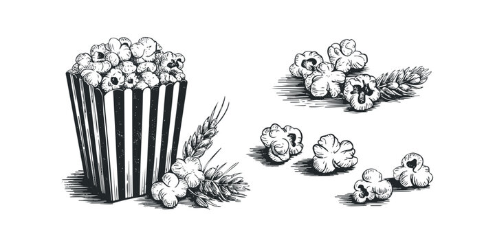 Hand Drawn Popcorn and Wheat Stalks in Stripped Container