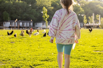 A girl walks across a green field to the birds, bright colors © verzunyna