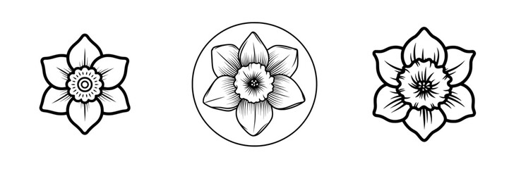 The daffodil icon is depicted in a line style with a color scheme of white and black, originating from the daffodil collection for use in web, mobile apps, and UI design