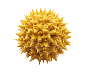 Golden, spiky sphere on black background, looks organic with an odd, intriguing texture, and striking, detailed rendering