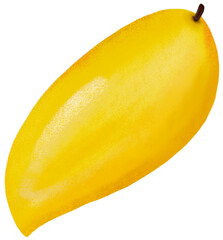 Yellow Mango fruit
