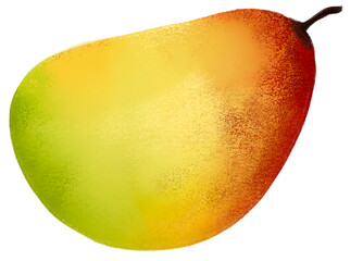 Mango fruit isolated background