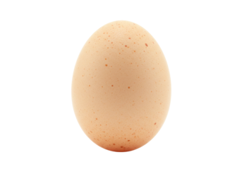 Isolated speckled brown organic fresh egg, natural food element, rustic cooking ingredient