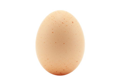 Isolated speckled brown organic fresh egg, natural food element, rustic cooking ingredient