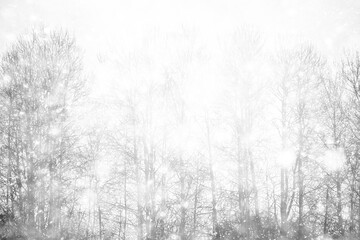 Fototapeta premium snowfall in the park, snowflakes on the background of branches, heavy thick snowfall abstract blurred background