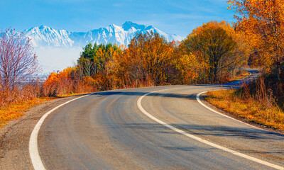 Naklejka premium An S-shaped road surrounded by autumn trees with snowy mountain ranges in the background
