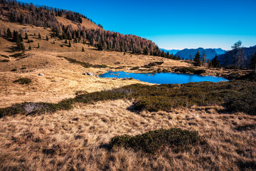 Sauris immersed in the magic of autumn. The kingdom of the golden larch.