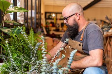 Male florist cultivating plants in modern small business