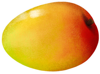 Mango fruit isolated