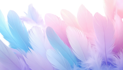 Pastel feathers cascade down from the top in blended blue, purple, and pink hues against a black backdrop