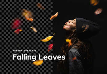 Falling Leaves – Autumn Overlays