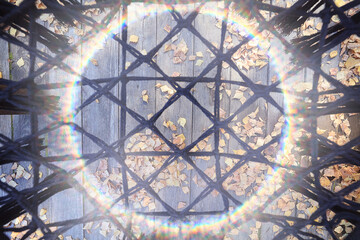 sunlight on an autumn background, fallen leaves warm yellow background autumn frame in the rays of the sun