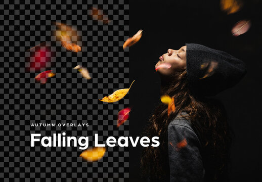 Falling Leaves &ndash; Autumn Overlays