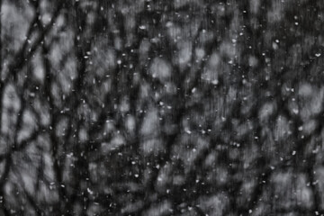 Winter blurred background, snowflakes, light weather, abstract backdrop in the park