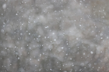 Obraz premium Winter blurred background, snowflakes, light weather, abstract backdrop in the park