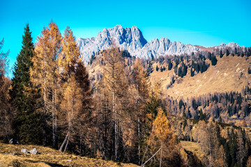 Sauris immersed in the magic of autumn. The kingdom of the golden larch.