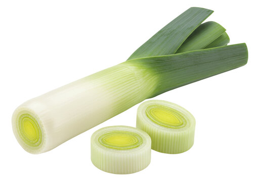 Isolated leek bulb with green stalks and cut slices, onion family vegetable for flavoring food