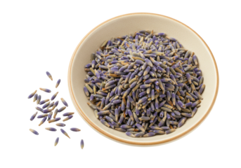 Isolated bowl of lavender buds ready to be used as a natural remedy for skin and body care