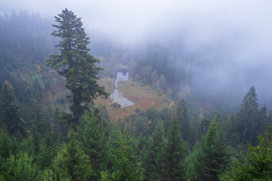 Ellbachsee im Schwarzwald