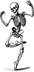 Skeleton dancing in a vintage engraving style. Black and white vector illustration showcasing the human anatomy in a whimsical pose.