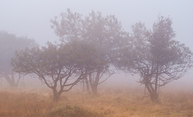Herbst im Schwarzwald