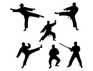 Silhouettes of Martial Arts Practitioners Karate, Swordplay, and Self-Defense Poses