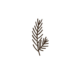 A Simple Brown Pine Branch Illustration on a Transparent White Background Minimalist Nature Element Graphic Design