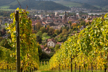 Gengenbach im Schwarzwald