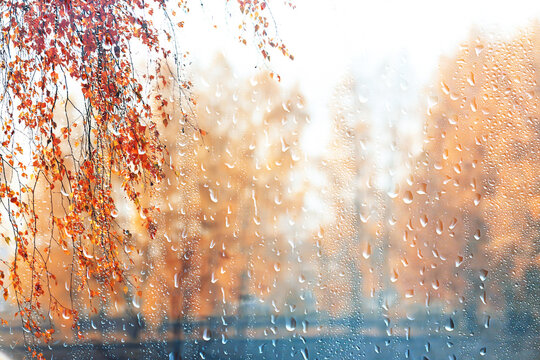 Wet weather, drops of autumn rain on the glass, autumn landscape outside the window, weather change