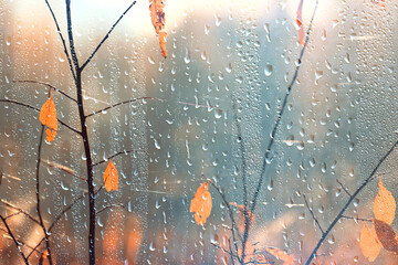 Wet weather, drops of autumn rain on the glass, autumn landscape outside the window, weather change