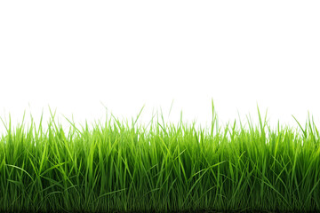 Fototapeta premium Lush green grass blades with natural gradient fading from dark to light green tones, isolated on a transparent background