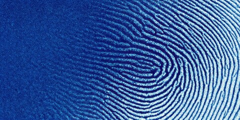 Close-up of a blue fingerprint pattern with swirling lines.