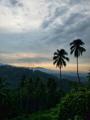 Obraz premium palm trees at sunset