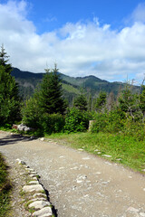 Obraz premium A mountain green trail to the Rusinowa glade (Rusinowa Polana) on Tatra mountains, Poland. Rusinowa Polana - montane clearing in the Polish High Tatras.