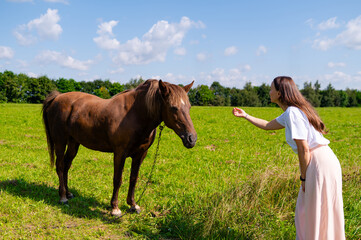 Young woman gently touching lonely horse on green meadow in rural countryside summer landscape