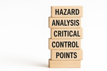 Educational kitchen infographic on hazard analysis critical control points for food safety