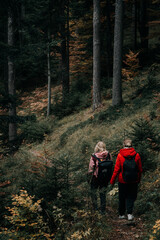 Obraz premium Autumn travel scene showing two female hikers walking along a forest trail in October. Warm tones, soft sunlight and colorful seasonal foliage