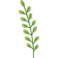 Simple Illustration Of A Green Stem With Oval Leaves On A Transparent Background