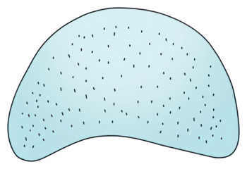 PNG A blue half circle shape with a black line inside minimalist abstract design.