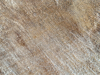 Cut tree trunk background. Timber texture closeup