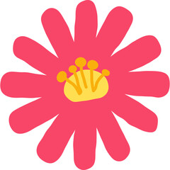 Simple Pink Daisy Flower With Yellow Center and Stamens Isolated on Transparent Background