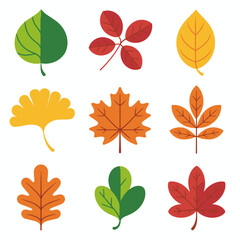 Obraz premium Autumn Leaves Vector Set – Colorful Fall Leaf Icons, Seasonal Foliage, and Nature Design Elements.
