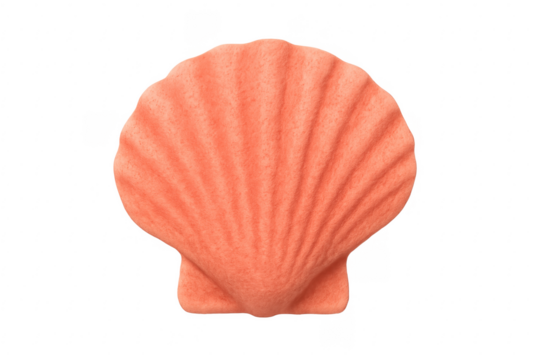 Orange scallop seashell creating summer beach concept