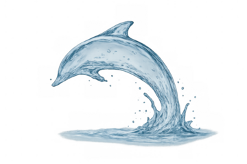 Water dolphin jumping out of liquid splash, abstract marine life fluid shape on transparent background