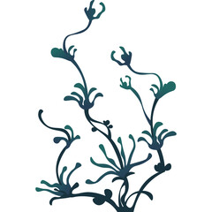 Fototapeta premium Abstract aquatic plant illustration with swirling stems and teal blue foliage on a transparent background suitable for digital design elements