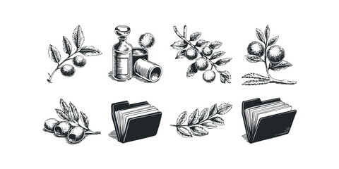 Vintage botanical and document icons