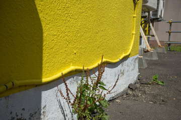 黄色にペイントされた壁