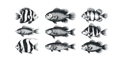 Collection of Monochrome Hand Drawn Fish